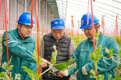 “快办快结、全程代办”